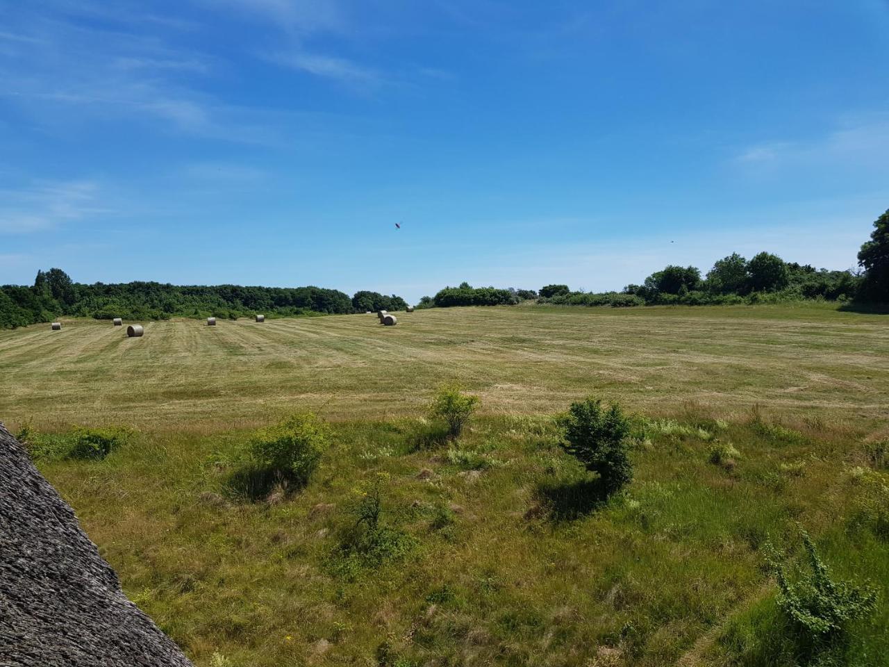 Fewo 18 Im Strandhaus Lobbe Mit Balkon Exteriör bild